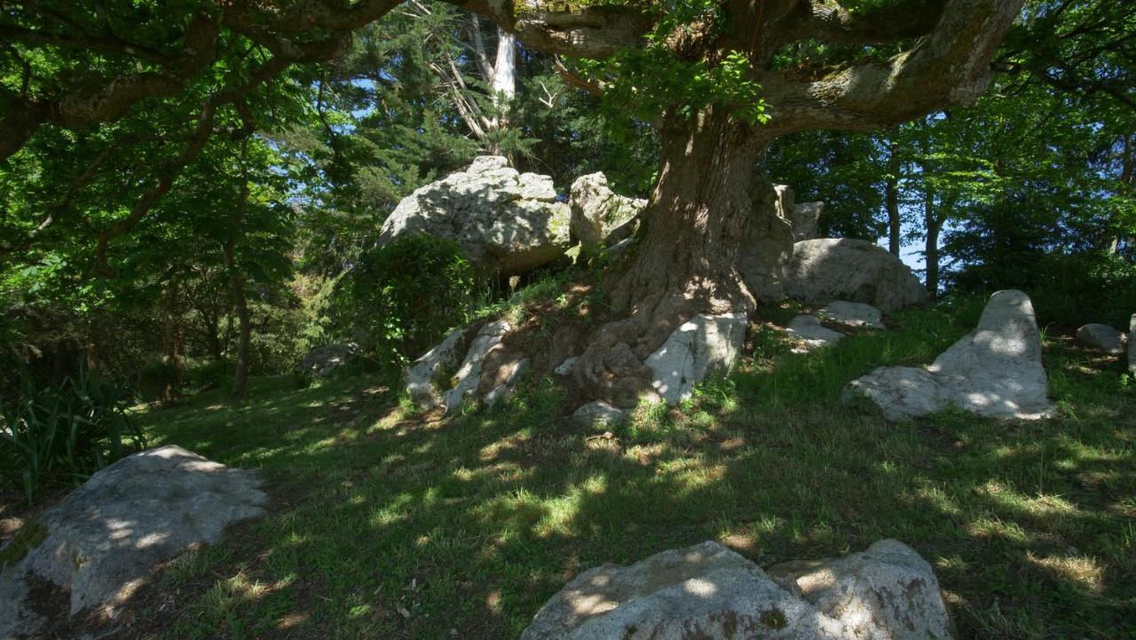 Villa Domaine De Kerleguer Douarnenez Exterior foto